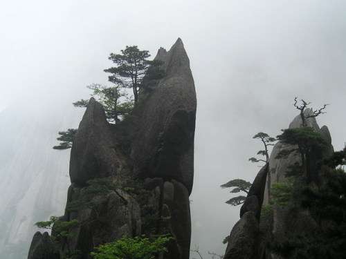 安徽黄山 安徽黄山