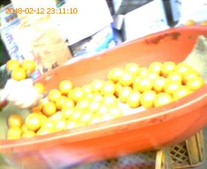 果品批发市场库存橙子打蜡皱皮变鲜果(图)