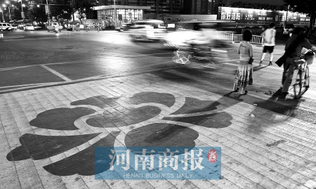 洛阳牡丹斑马线