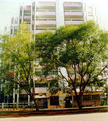 驻津巴布韦大使馆