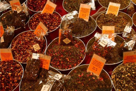 �Կ������ɱ��ʳ�ܰ�ϸ��