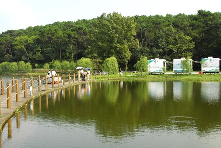 <em>处女地</em>石塘竹海