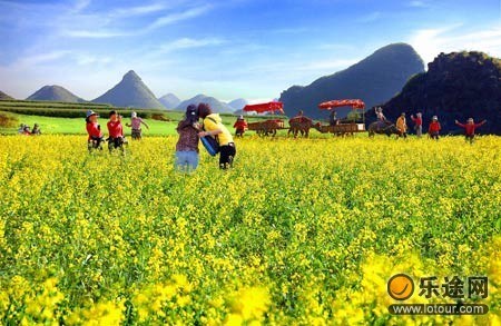 清明节放假踏青 小帖士助你出游好心情