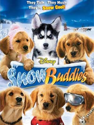 宠物感人电影:《雪狗兄弟》_新浪上海_新浪网