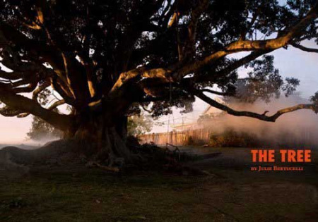 父亲是棵树电影 201051114357.jpg