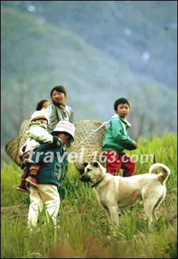 怒江美女村 面红耳赤看<em>男女共浴</em>(3)_新浪<em>上海</em>_