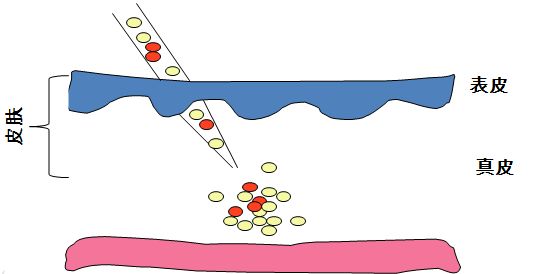 <em>华山医院</em>静安分院 引进美国BOSLEY植发技术