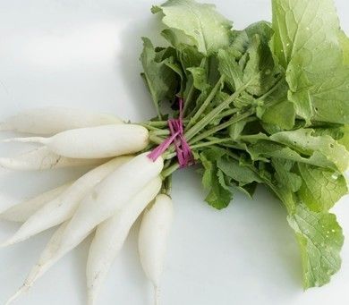 春季排毒养颜食物_南京振道跆拳道馆