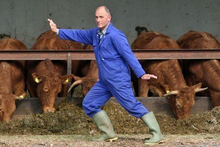 世界上最有趣的工作 - 灌水聊天 - 信宜都市网