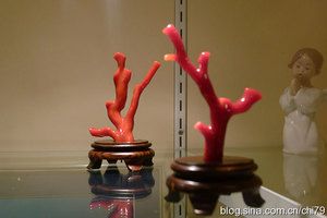 旅行达人带你看看美国的物价到底贵不贵 (3)