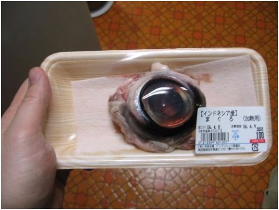 金枪鱼眼球