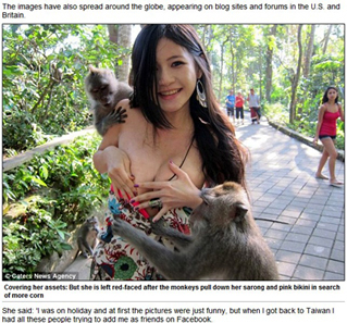 陈维芊比基尼遭 色猴 扯落走光 台 猴抓妹 捧胸