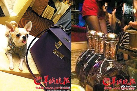 武汉一初中生微博炫富:送狗爱马仕包(组图)