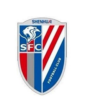 2012中超联赛上海 申花 龙年vip年票卡