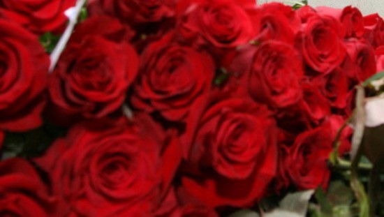 哈萨克斯坦一男子与妻子吵架后送100万支玫瑰
