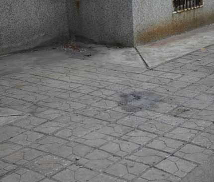 学校要求剪发 <em>初中女孩跳楼</em>身亡_新浪上海_新