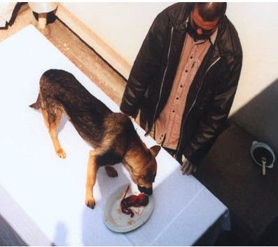 揭印度医生拿堕胎女婴喂狗真相