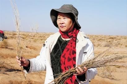 环保志愿者易解放