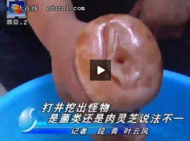 把自慰器当做灵芝太岁乌龙事 网友:好纯的新闻_
