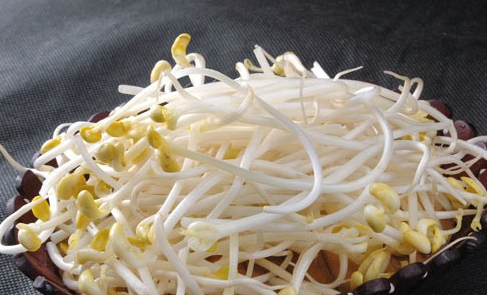 黄豆芽 黄豆芽