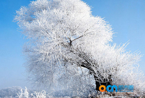 冬季适合去哪里旅游+欣赏各地美丽的冬天(3)