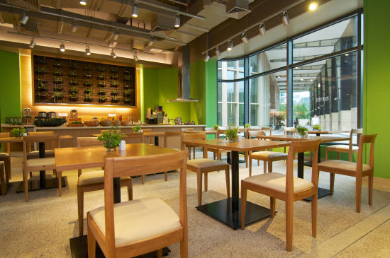 泰生天地旗舰店开幕 养生服务健康生活新体验