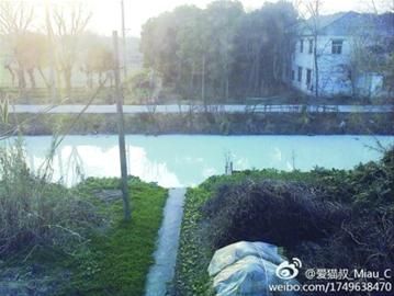 春节前,松江工业区和车墩镇间的一条铁路河遭遇大面积污染,变成了“牛奶河”。 春节前,松江工业区和车墩镇间的一条铁路河遭遇大面积污染,变成了“牛奶河”。