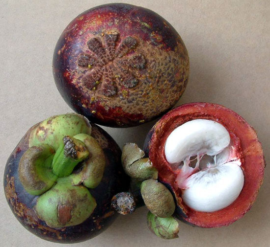 海南岛的水果有哪些 甜美可口的山竹香