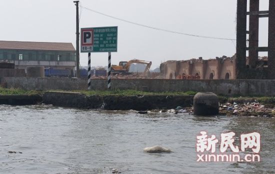 平湖境内河道也有死猪漂浮。图来源:松江环保局 平湖境内河道也有死猪漂浮。图来源:松江环保局