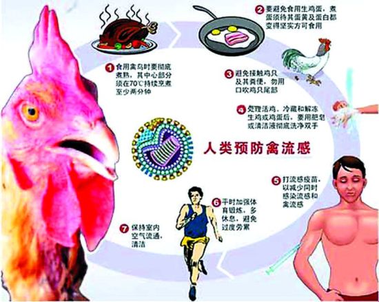 h7n9是哪一年发生的