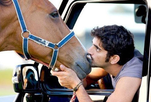 各国皇室度假大比拼 迪拜王子给爱马定制飞机