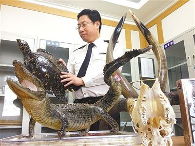 北京截获蟑螂蜘蛛 具有严重危害