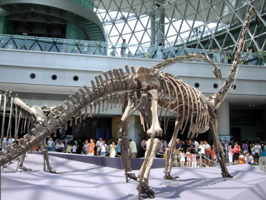 上海 六一 休闲好去处:<em>星期八</em>小镇、科技<em>馆</em>_旅