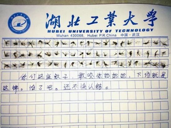 60只蚊子尸体粘纸上 女大学生霸气_新浪上海_