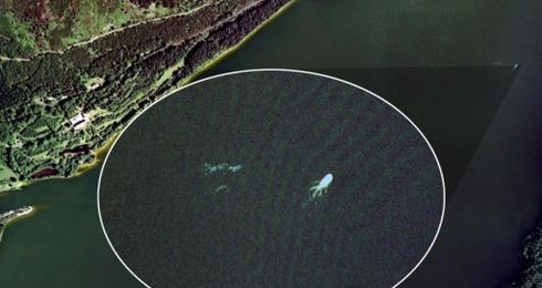 天池现怪兽+解密长白山神秘湖底怪兽