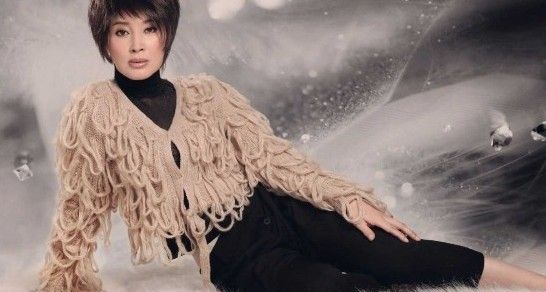 点击图片查看详情 中国十大富豪女星榜 9
