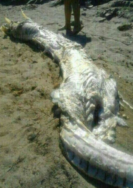 U7331P18DT20130823165343.jpg