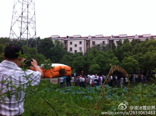 男子因感情受挫爬上普陀高陵路金鼎路处一座高压铁塔 (图:新浪微博网友@凌冰雪世界) 男子因感情受挫爬上普陀高陵路金鼎路处一座高压铁塔 (图:新浪微博网友@凌冰雪世界)