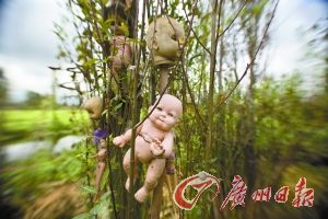 全球十大惊悚地点 自杀圣地青木原树海入围(