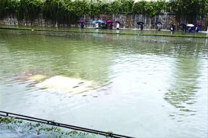 松汇东路北松公路一处铁路隧桥严重积水,一辆公交车被淹没成“潜艇”。/晨报记者 杨眉 松汇东路北松公路一处铁路隧桥严重积水,一辆公交车被淹没成“潜艇”。/晨报记者 杨眉