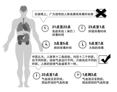 整点时刻表只起提示作用 正常人体排毒无需外