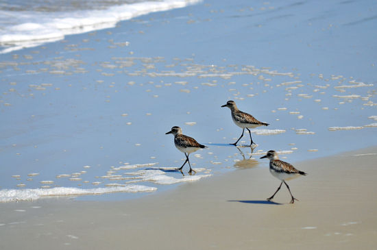 女子带两男友做亲子鉴定 混乱的母亲(图)(20)