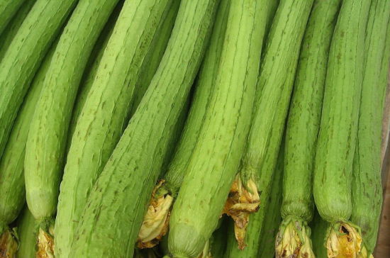 丝瓜 U10313P18DT20131024181056.jpg