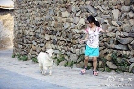 叶一茜微博吐槽<em>田亮</em> 不满<em>女儿穿衣</em>风格(2)_新浪