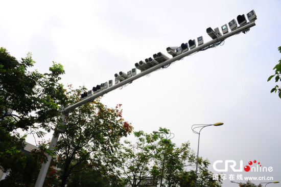 马路上方50多只探头 密密麻麻惊呆路人 马路上方50多只探头 密密麻麻惊呆路人