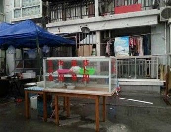 婴儿家中睡觉失踪 抱婴者是个谜(图)