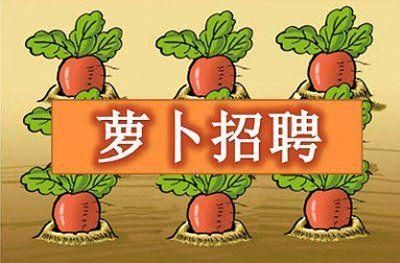 上海市事业单位招聘图片 上海事业单位招聘,上海事业单位招...
