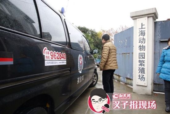 殡葬车到达现场。新民网 记者 萧君玮 摄 殡葬车到达现场。新民网 记者 萧君玮 摄
