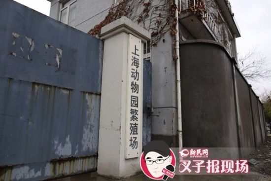 新民网记者赶到时,上海动物园繁殖场大门紧闭。新民网 记者 萧君玮 摄 新民网记者赶到时,上海动物园繁殖场大门紧闭。新民网 记者 萧君玮 摄