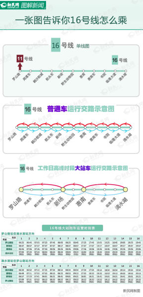 一张图告诉你16号线怎么乘。新民网 谢辉 制图 一张图告诉你16号线怎么乘。新民网 谢辉 制图